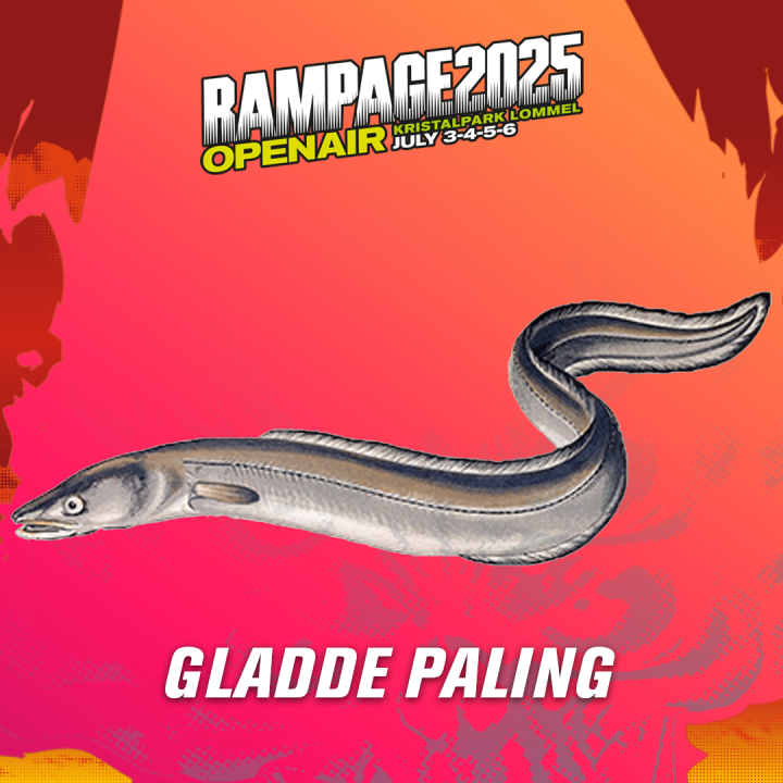 GLADDE PALING - SATURDAY