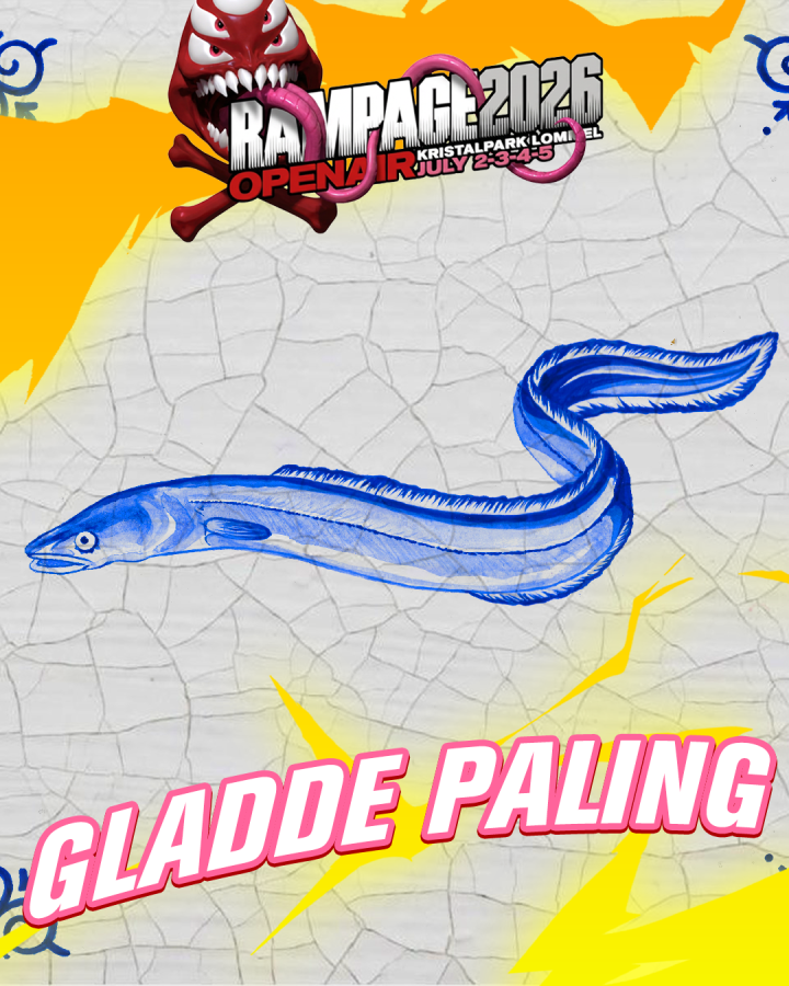 Gladde Paling - MIXED - FRIDAY