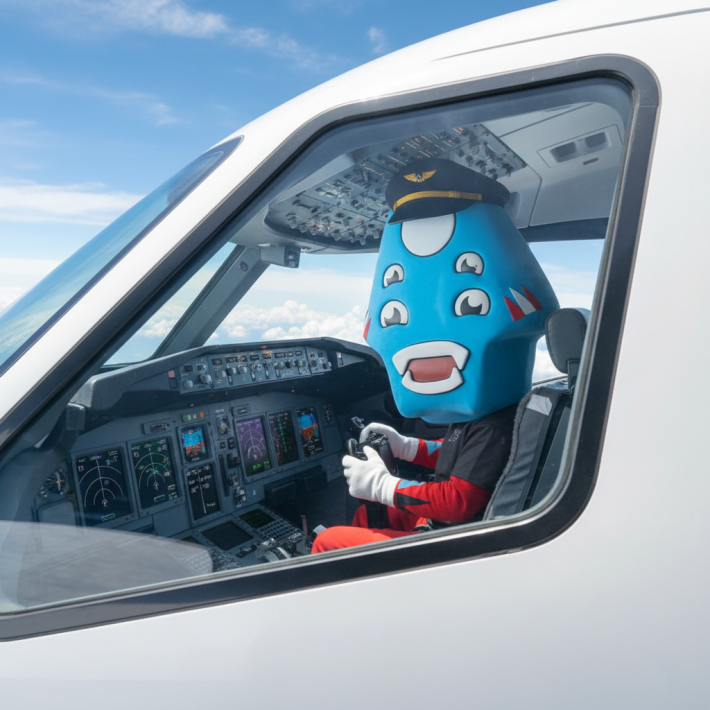 COMING BY PLANE COMING BY PLANE